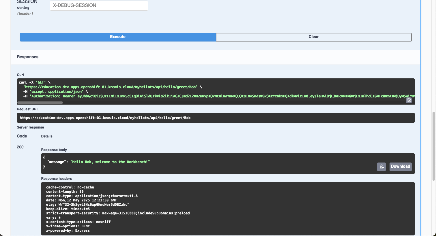 SwaggerUI Screenshot 6