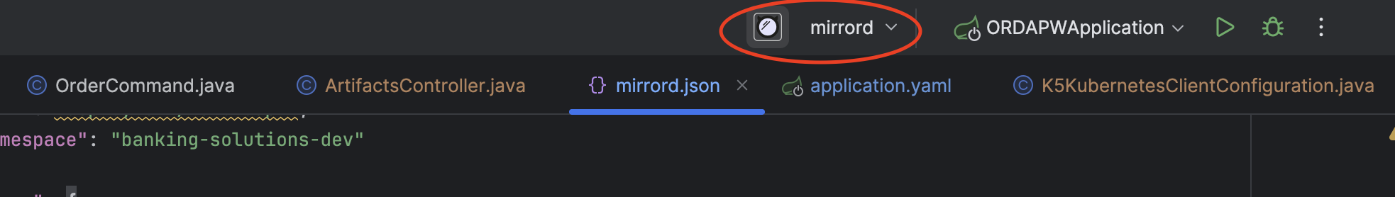 IntelliJ Mirrord Screenshot