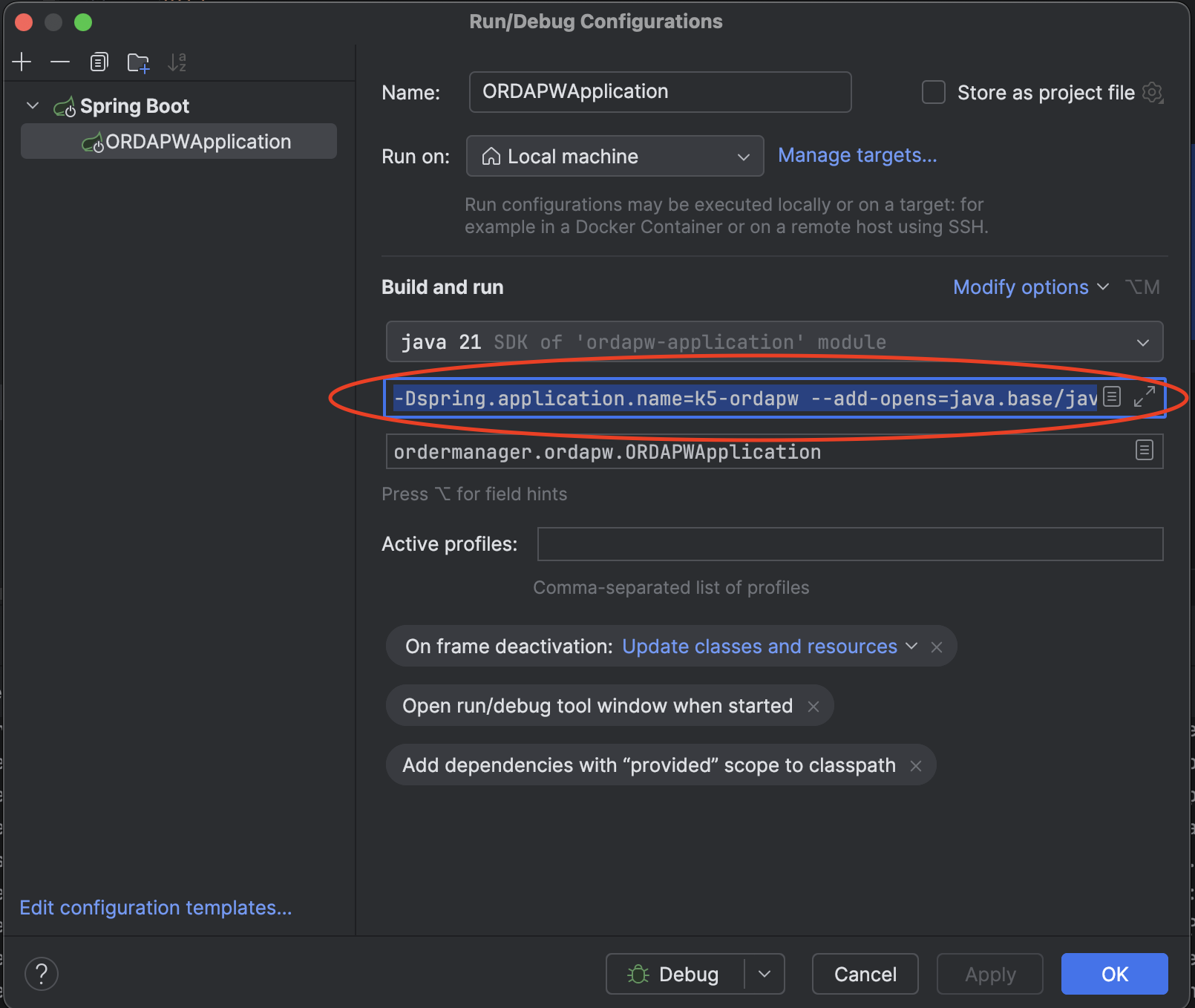 Java Options IntelliJ Screenshot