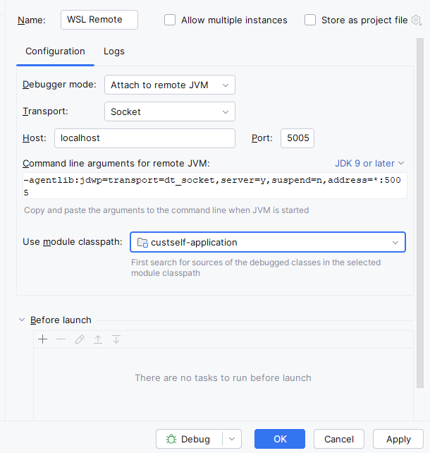 Setup IntelliJ Screenshot