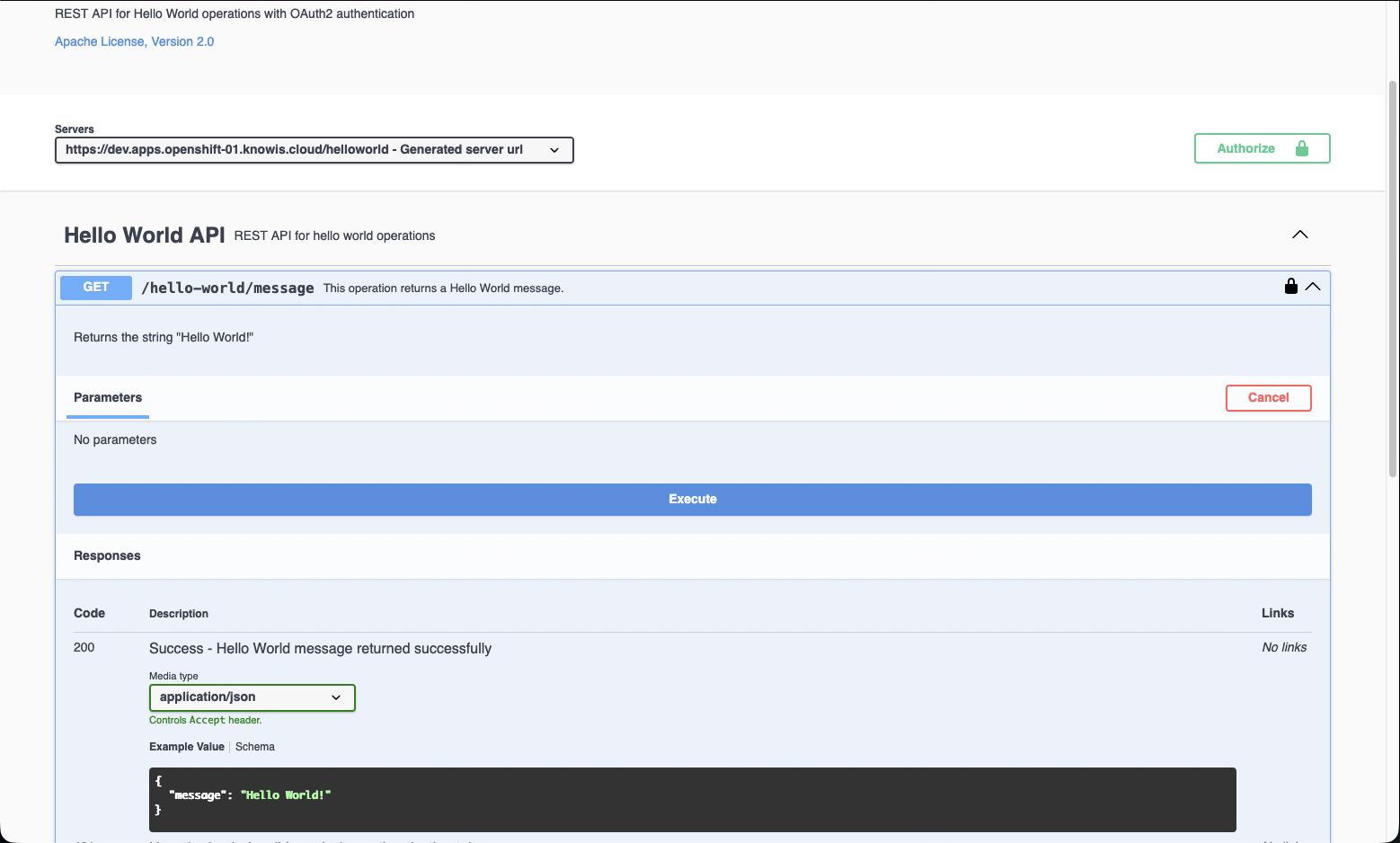Swagger UI 4